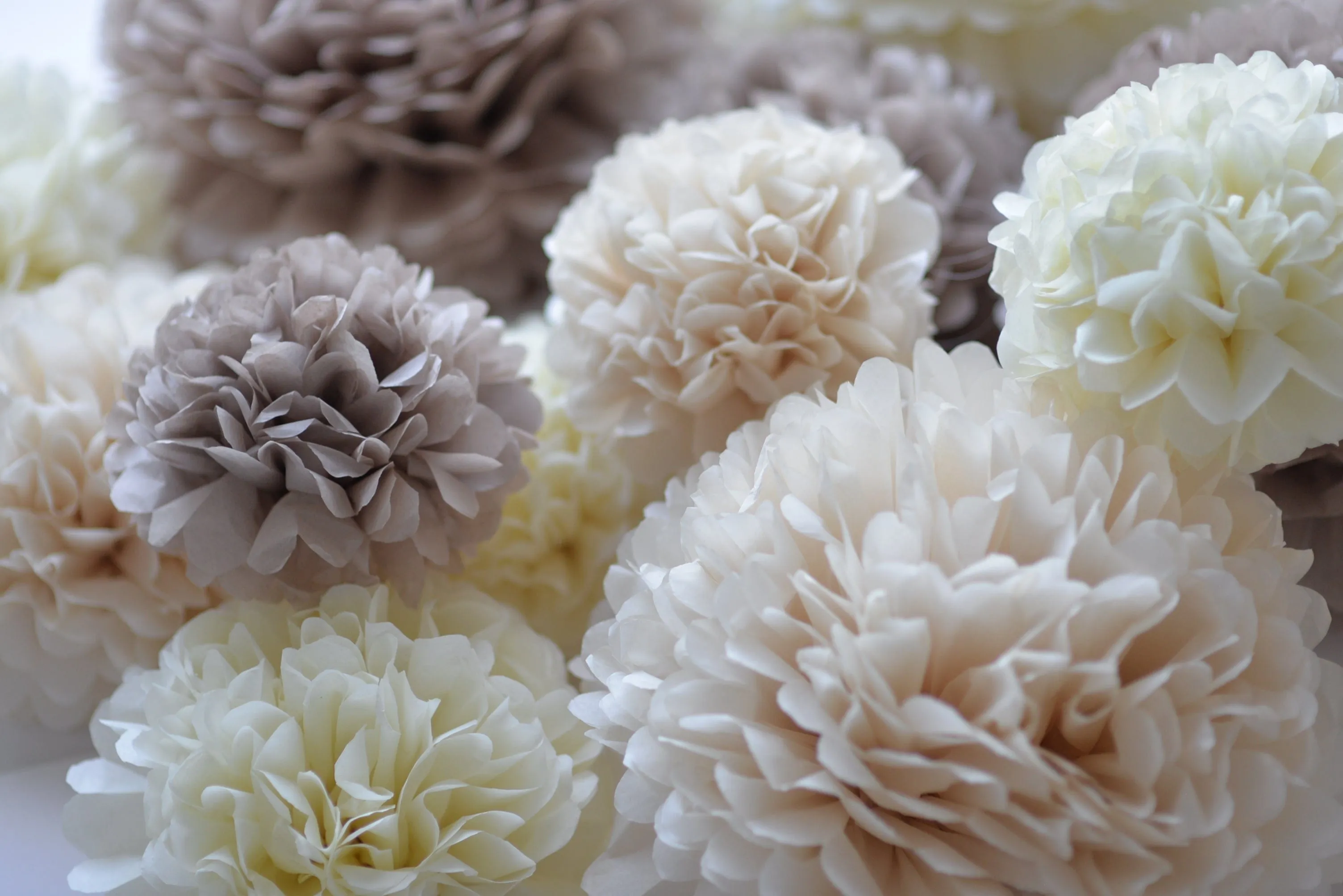 ALL NEUTRAL Tissue paper pom poms | beige ivory taupe Paper flowers