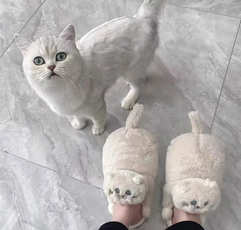 LovelyRLovely Hug Plush Warms Simulation Cat Slippers