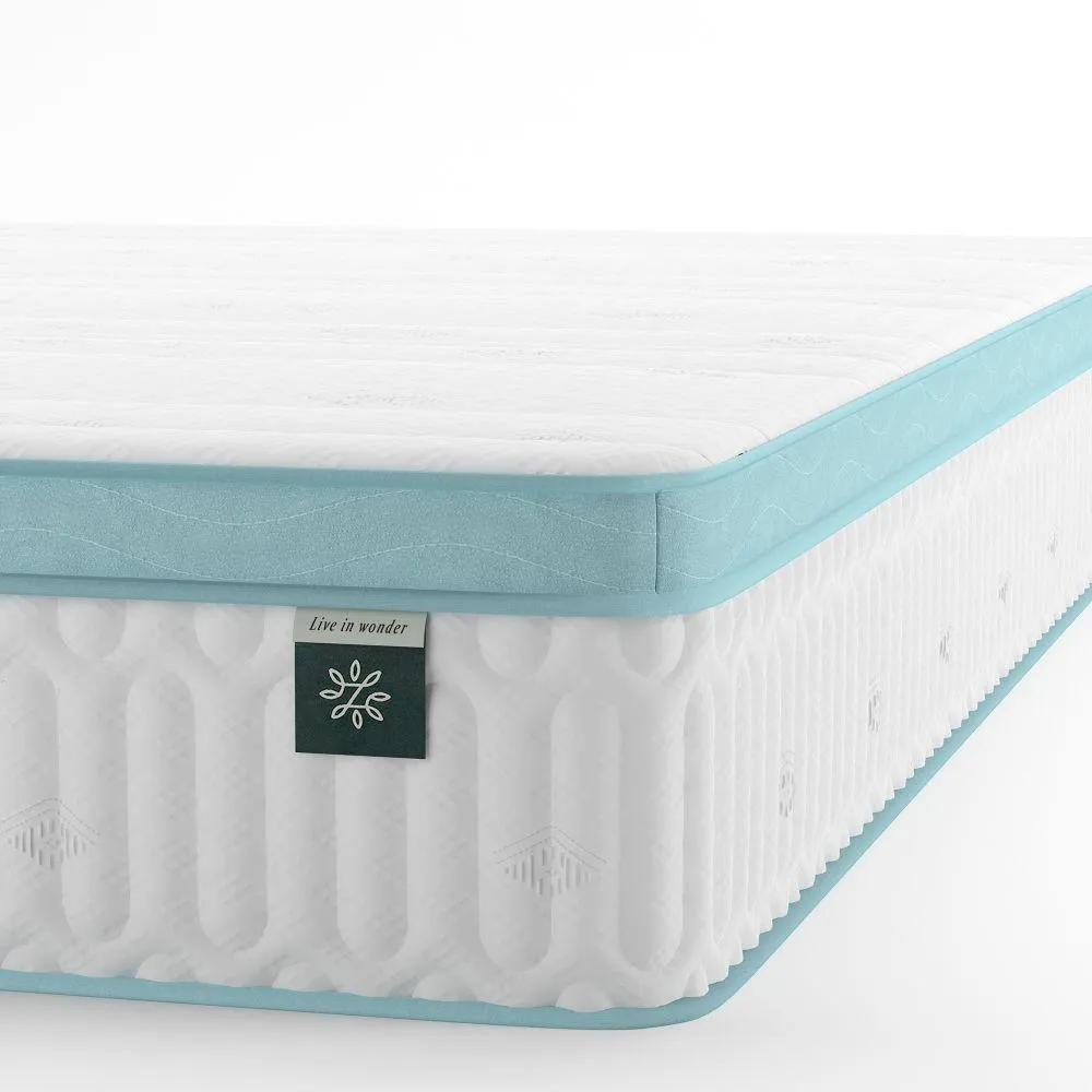 Mint Green Foam Hybrid Spring Queen Mattress