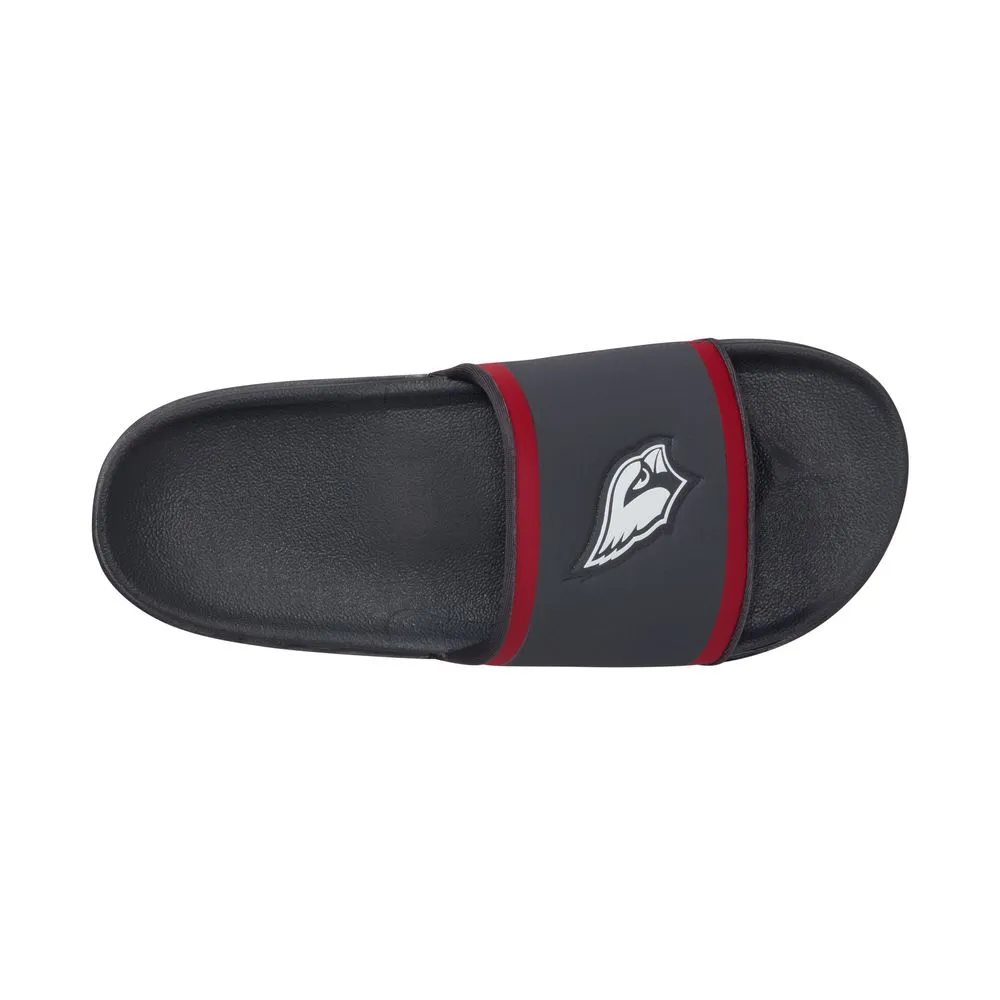 NFL Arizona Cardinals Nike Offcourt Slides