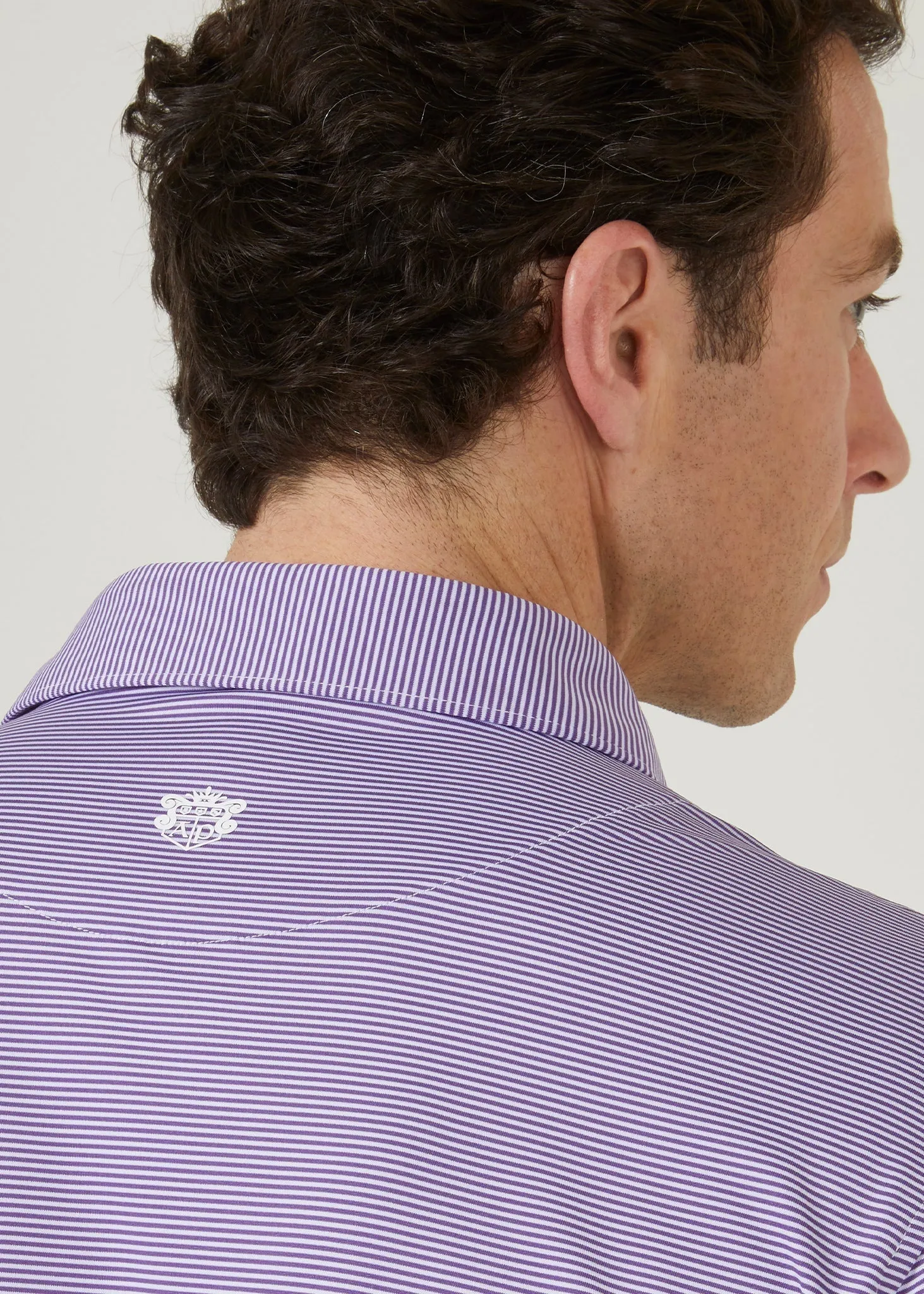 Waterbeach Striped Polo Shirt In Plum - Sports Fit